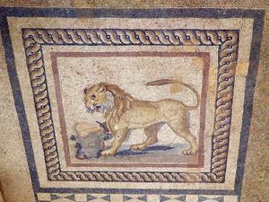A lion mosaic in the Terrace Houses of Ephesus