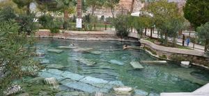 Fallen marble columns lying in the warm water of the Antique Pool at Hierapolis, above Pamukkale