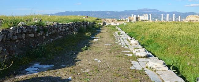 An ancient paved street at Laodicea, lined with column bases
