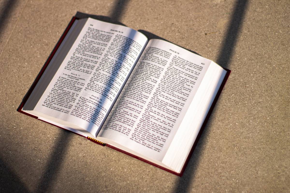 An open King James Bible at the Psalms, lying on warm stone in striped morning sunlight